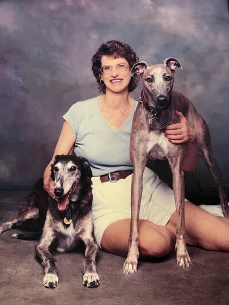 Dr. Sheila P. Shannon Profile Photo