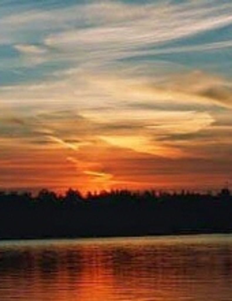 Harvey Robert Gruenwald