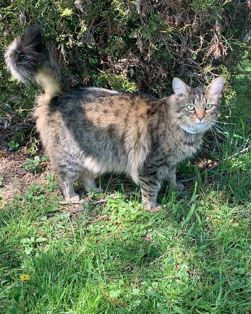 Tigger Adams Profile Photo