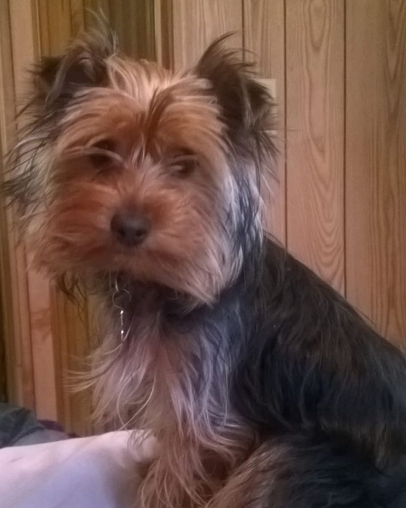 Brownie Warren Profile Photo