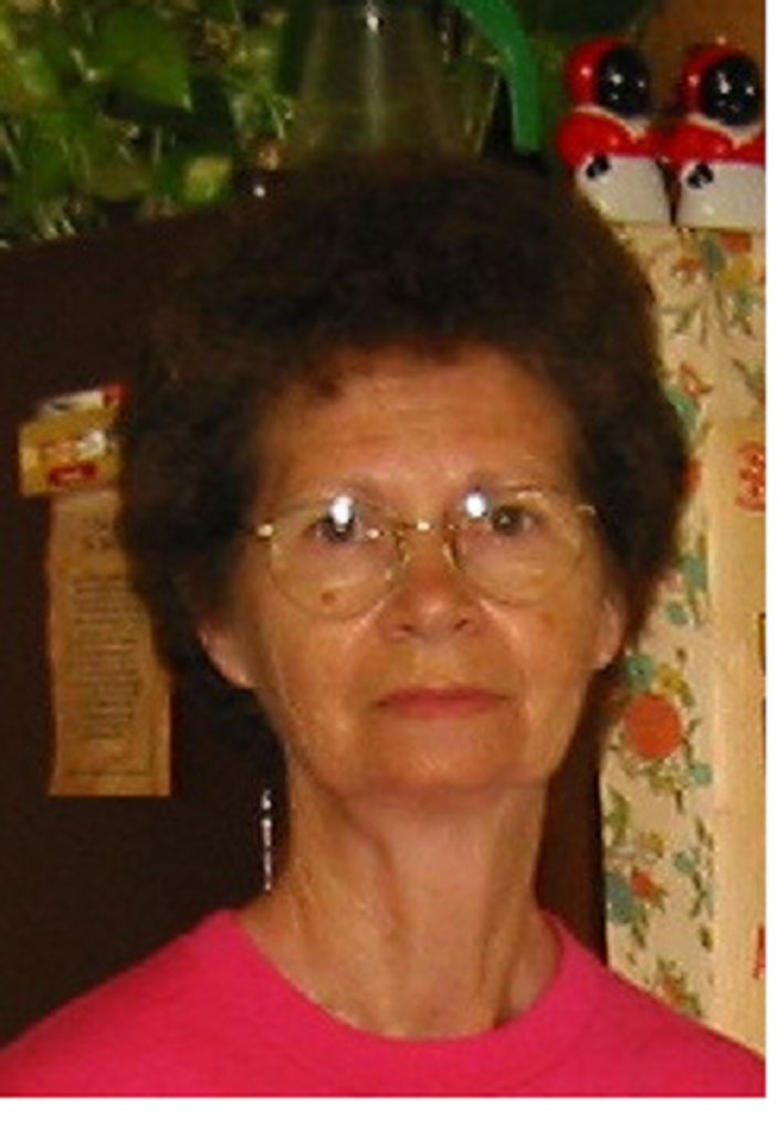 Shirley Ann (Blair)  Burrow