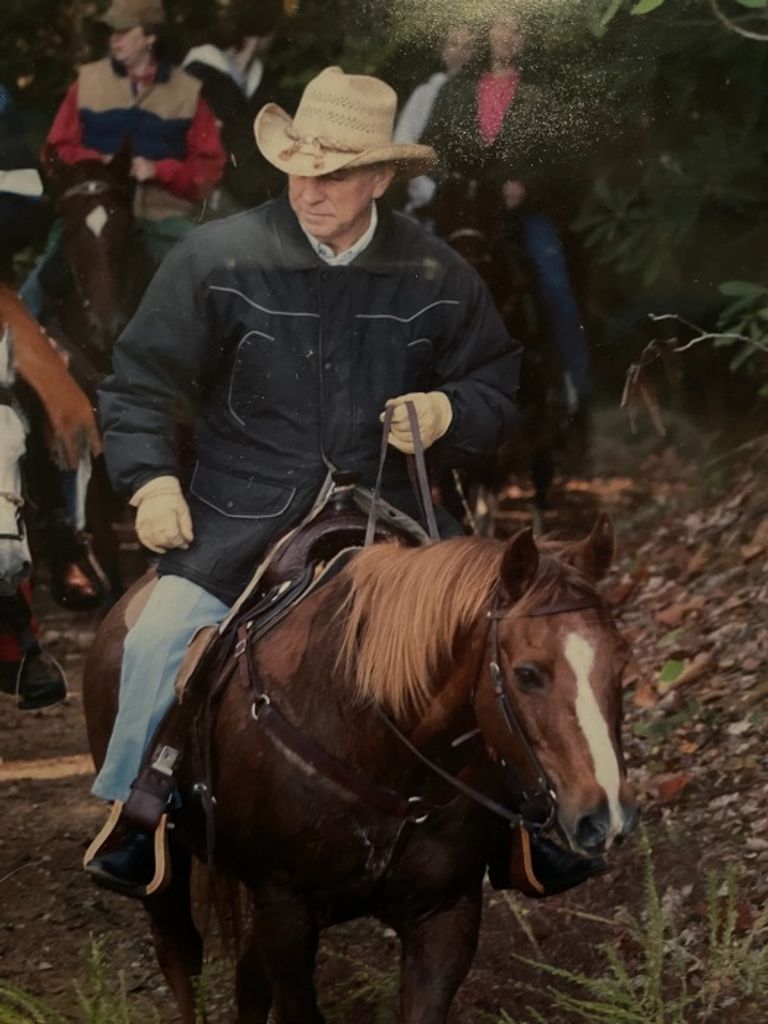 Tommy Harrison Profile Photo