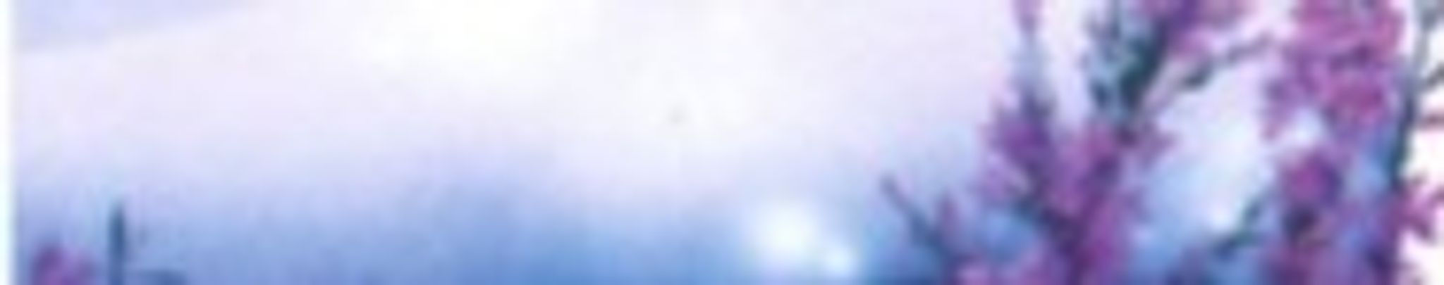 Cover for Jennifer Rivera's Obituary