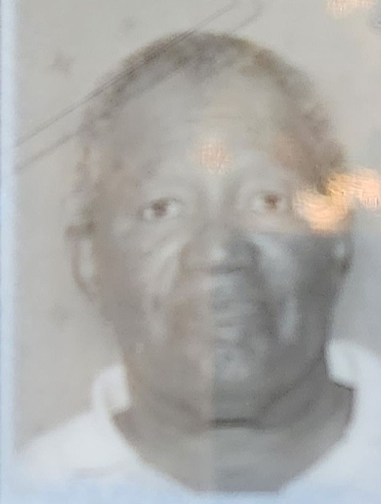 Joe Lee Lewis