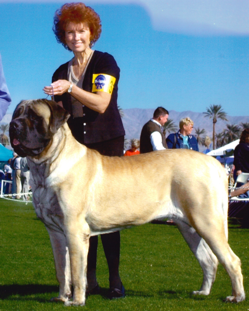 Carole Anne Smith
