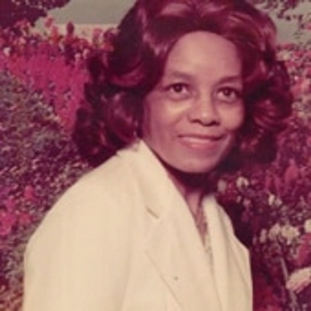 Dorothy V. Hogan