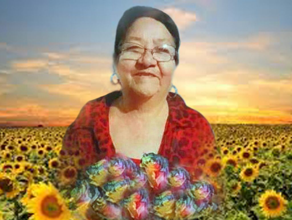 Juanita Solano Profile Photo