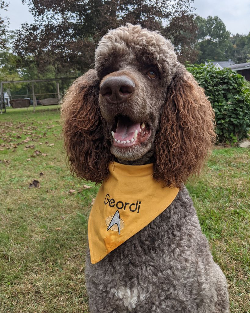 Geordi Janca Profile Photo