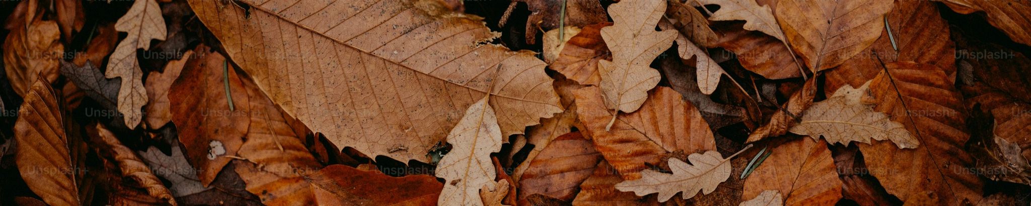 Cover photo for Bill Wright's Obituary