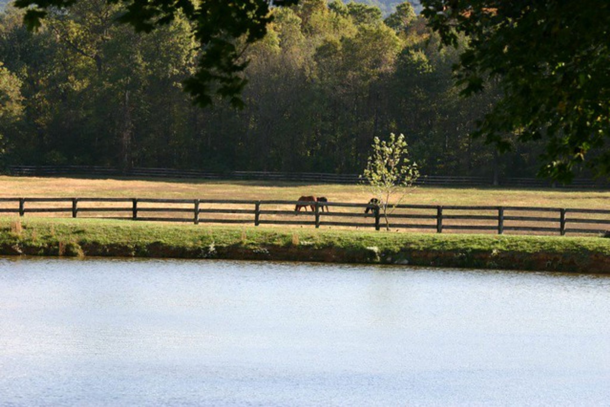 Cover photo for Lynne Holder's Obituary