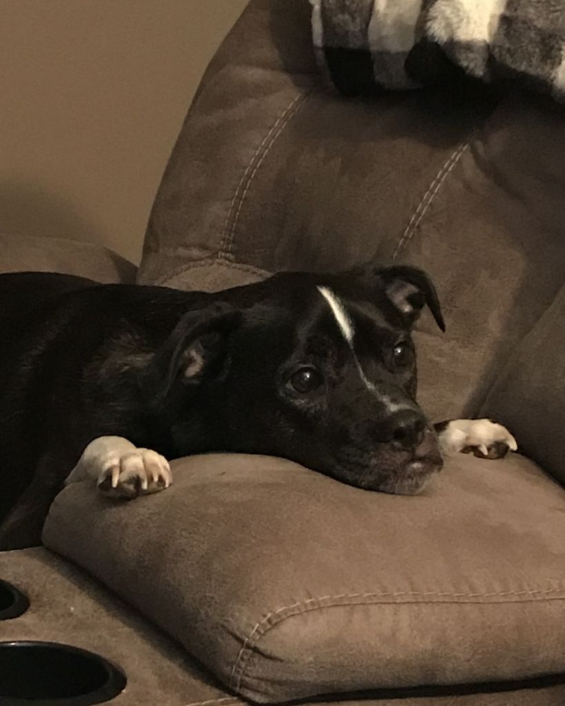 Riley Garrett Profile Photo