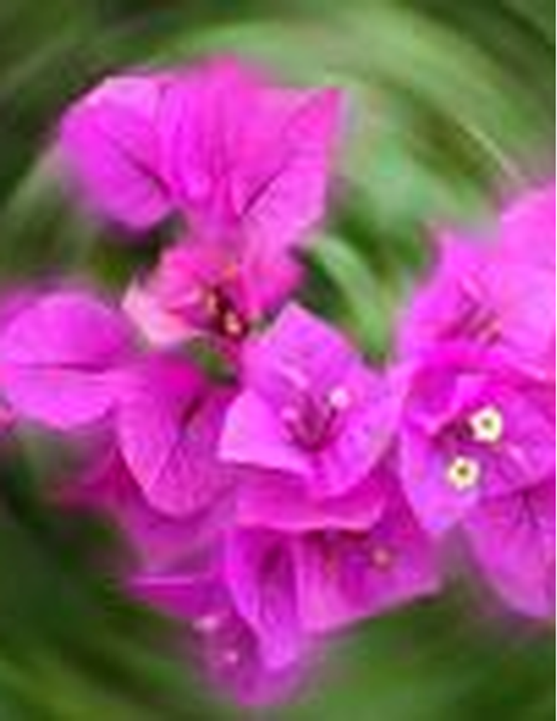 Brenda Joyce Blackwell