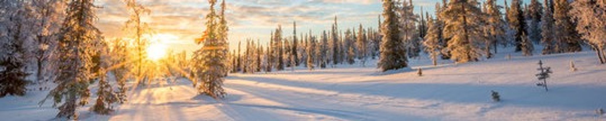 Cover for Jeffrey Welch's Obituary