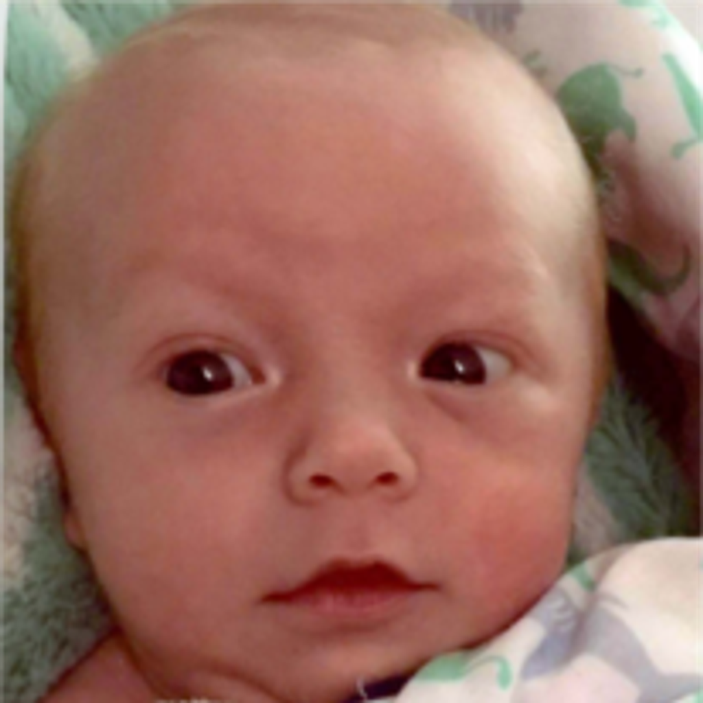 Jaxson L. Tech