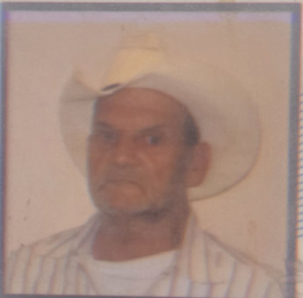 Roy white Profile Photo