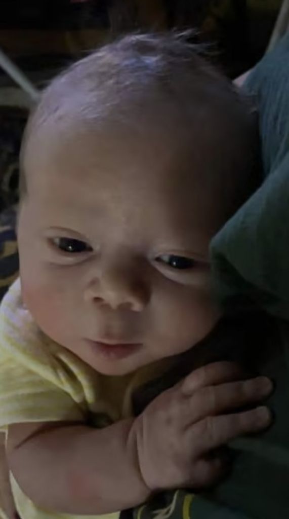 Aden Ahlgren
