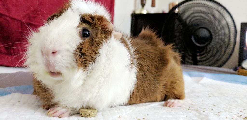 Slider Profile Photo