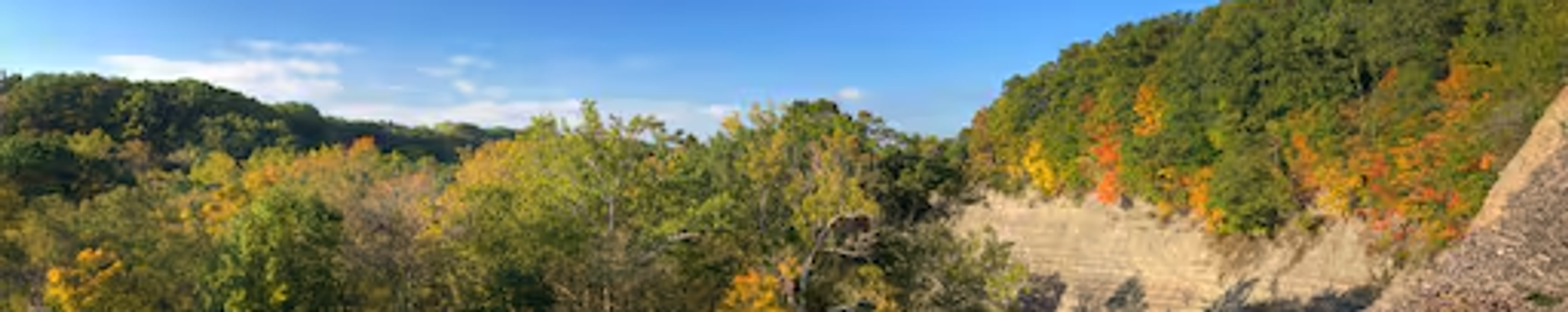 Cover for Lawrence Gene Carrow's Obituary