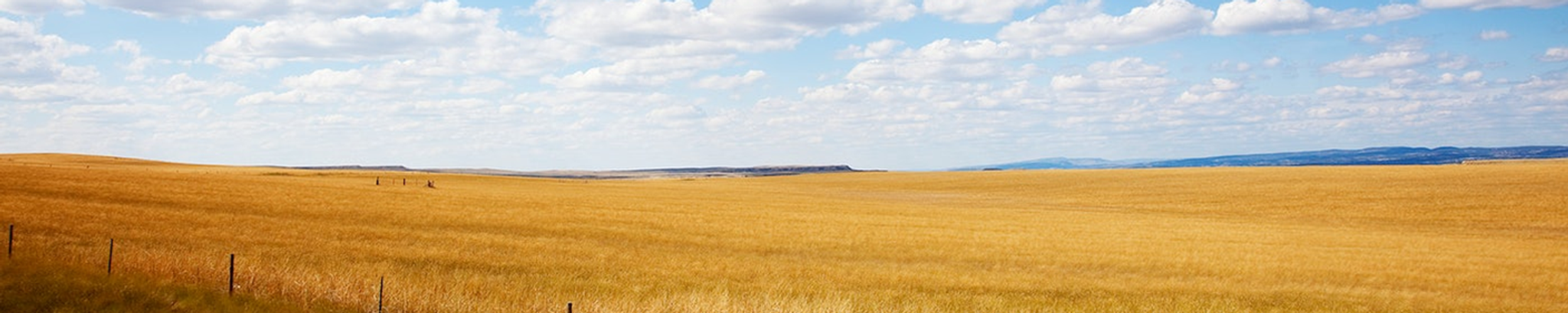 Cover photo for Vernie Peterson's Obituary