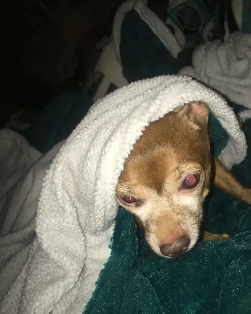 BooBoo Profile Photo