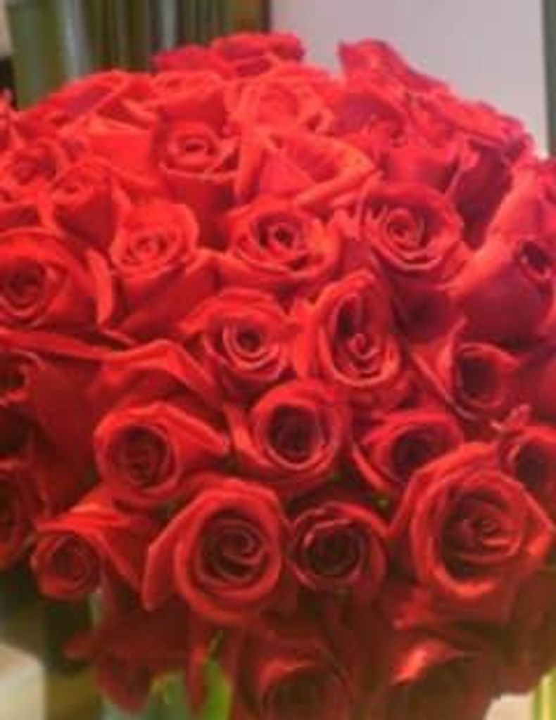 Brenda Palmer Profile Photo