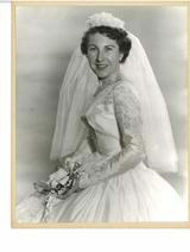 Louise Digironimo
