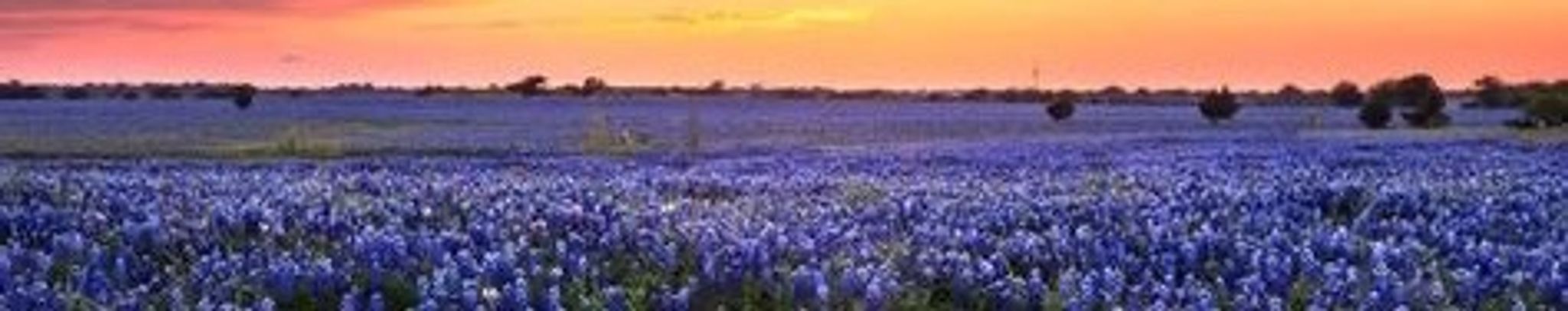 Cover photo for Darlene Frances Brennand's Obituary