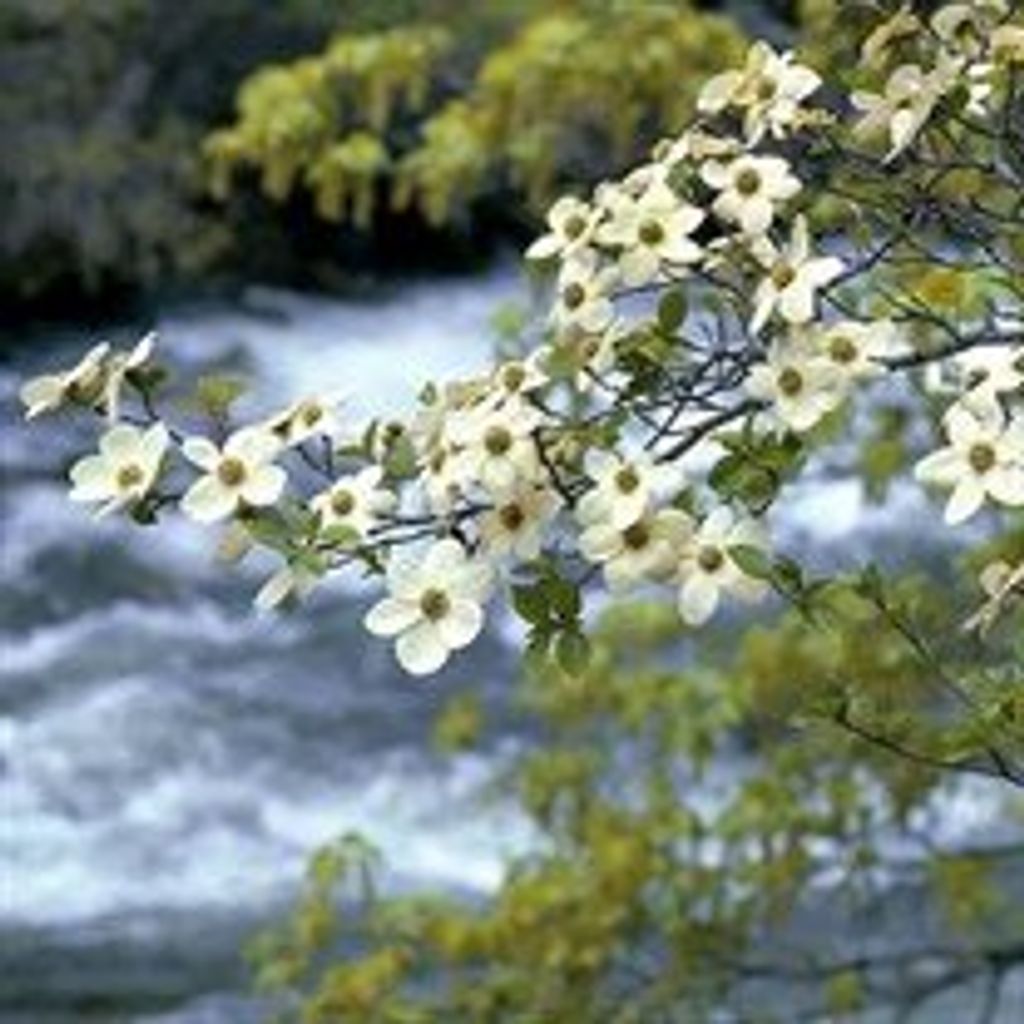 Gerda Charlotte Kahlbrock Berne