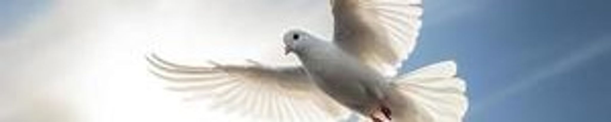 Cover photo for Travis Lee Varner's Obituary