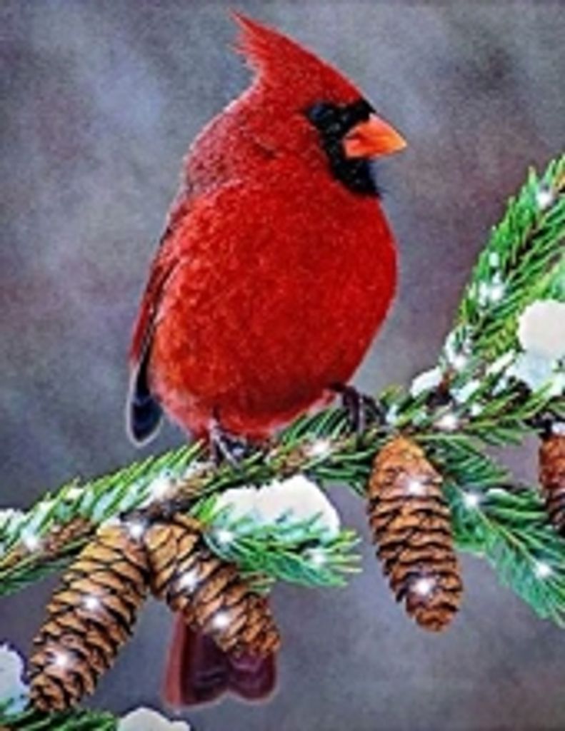 Judy Clark Payne