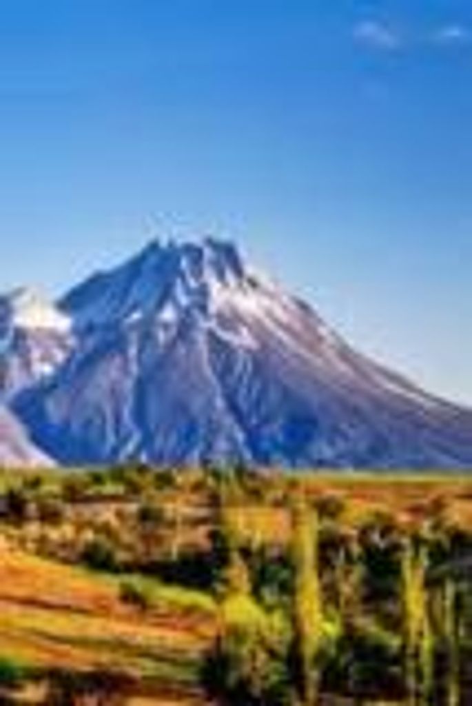 Freda  Ellen Heister Profile Photo