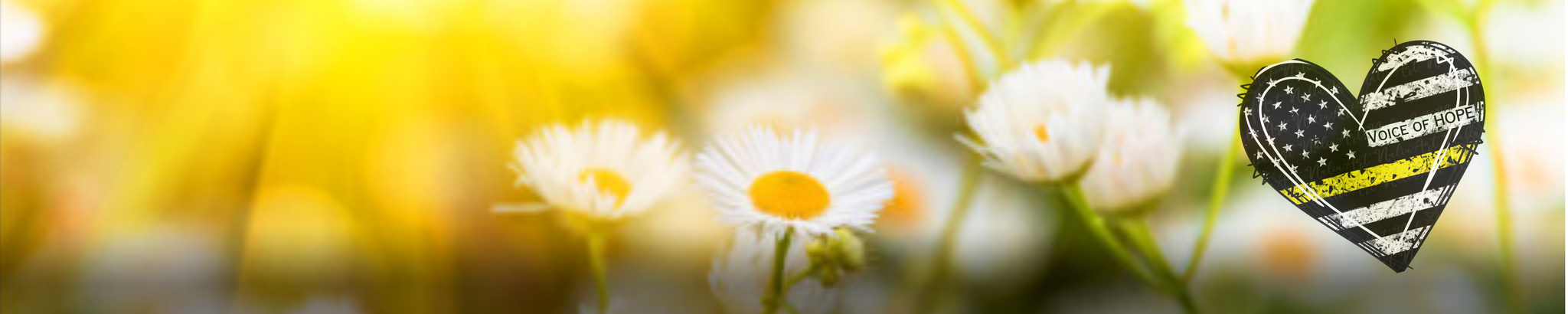 Cover photo for Amelia Moreno's Obituary