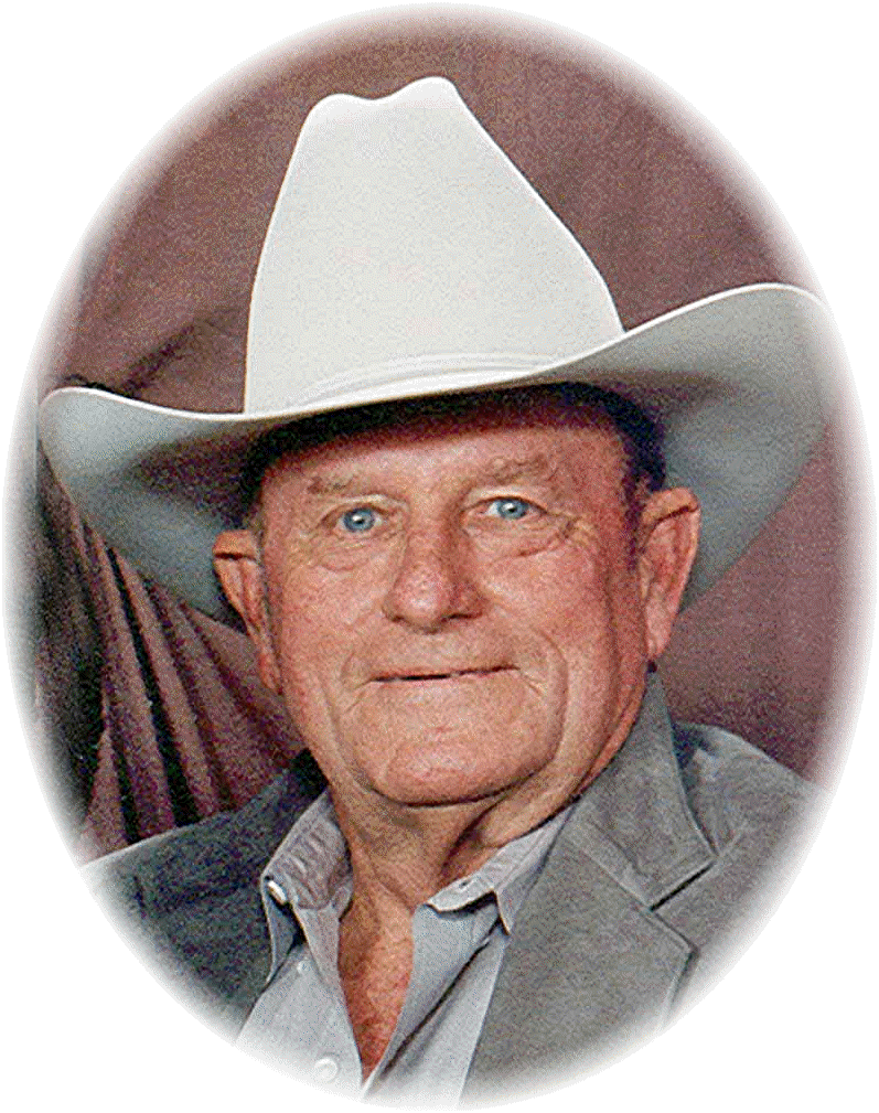 Donald A. Goetz