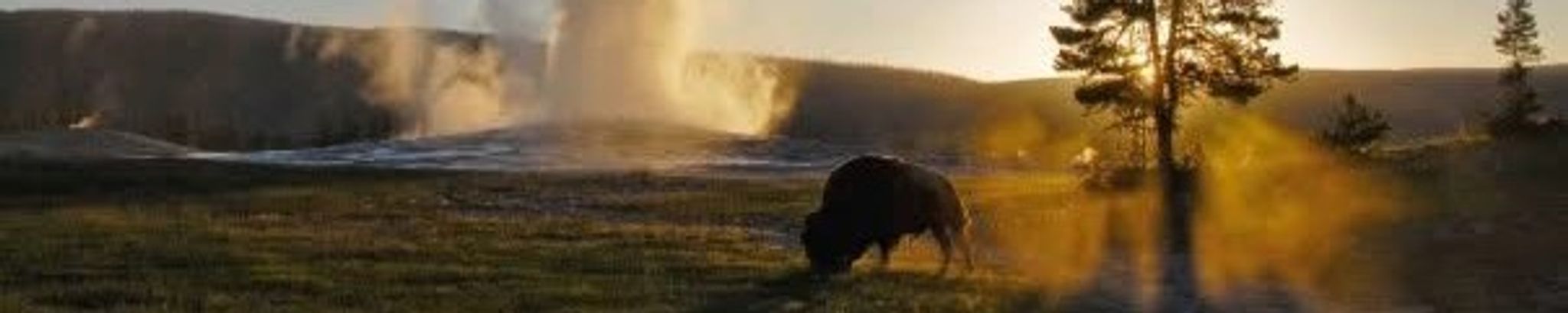 Cover for James Pascal Nelson's Obituary