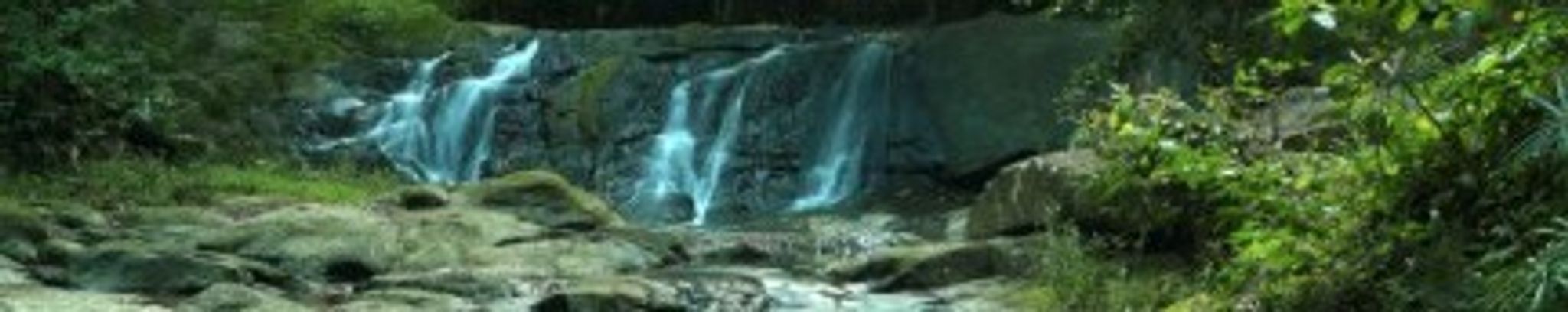 Cover for Johnny David Correa's Obituary