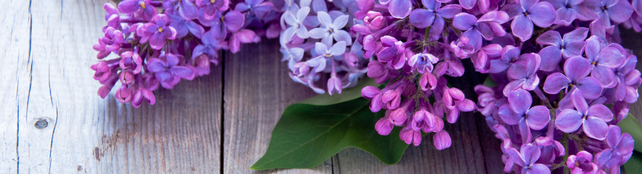 Cover photo for Katherine Valdes's Obituary
