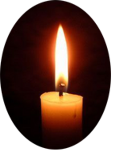 Priscilla Brown Fife Profile Photo