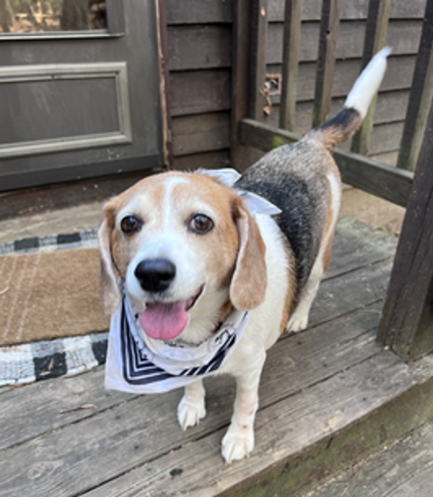 Georgia Louise Faulkner-Mijangos Profile Photo