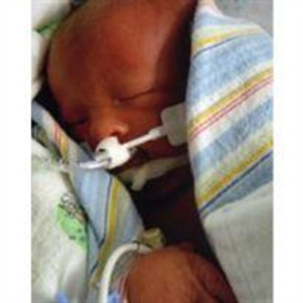 Tyler Samuel Bradstreet