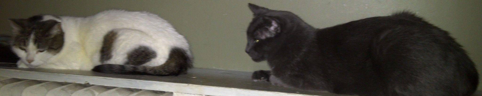 Cover for Brian Defoe's Obituary