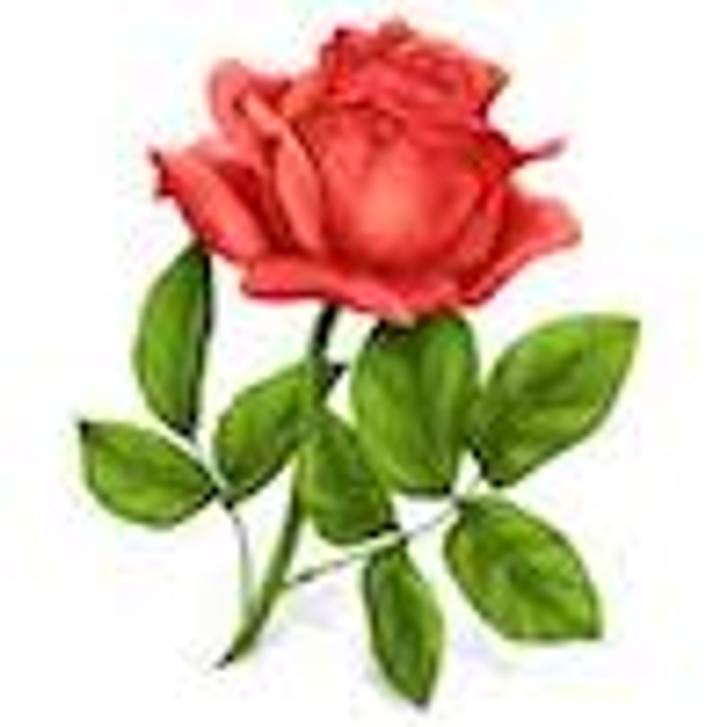 Debra  Suzann Wenzel Profile Photo