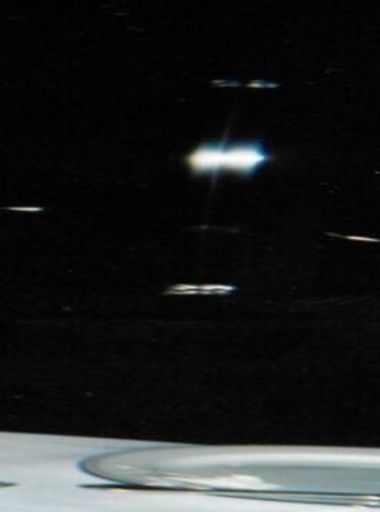 Gayle Morris Divers Profile Photo