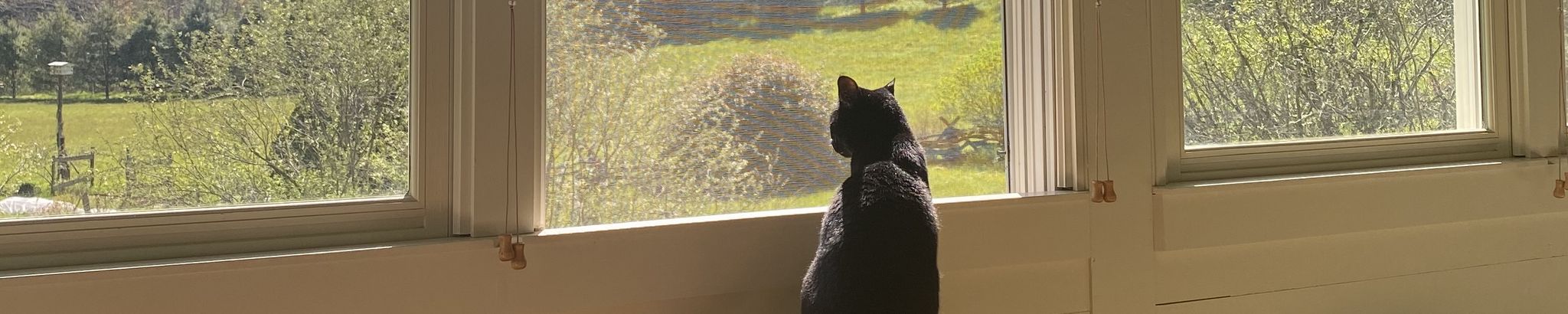 Cover for Beans's Obituary