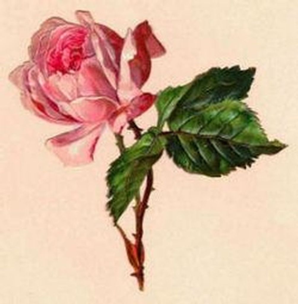 Helen Wheeler Anthony