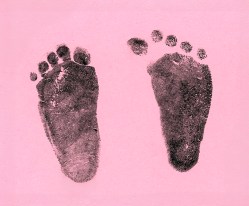 Haven Leigh Siebert