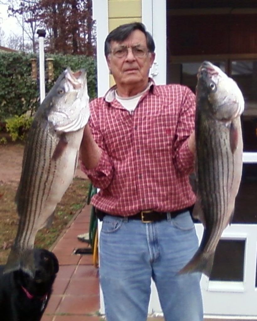 Gerald 'Jerry' Thomas Speranza Profile Photo