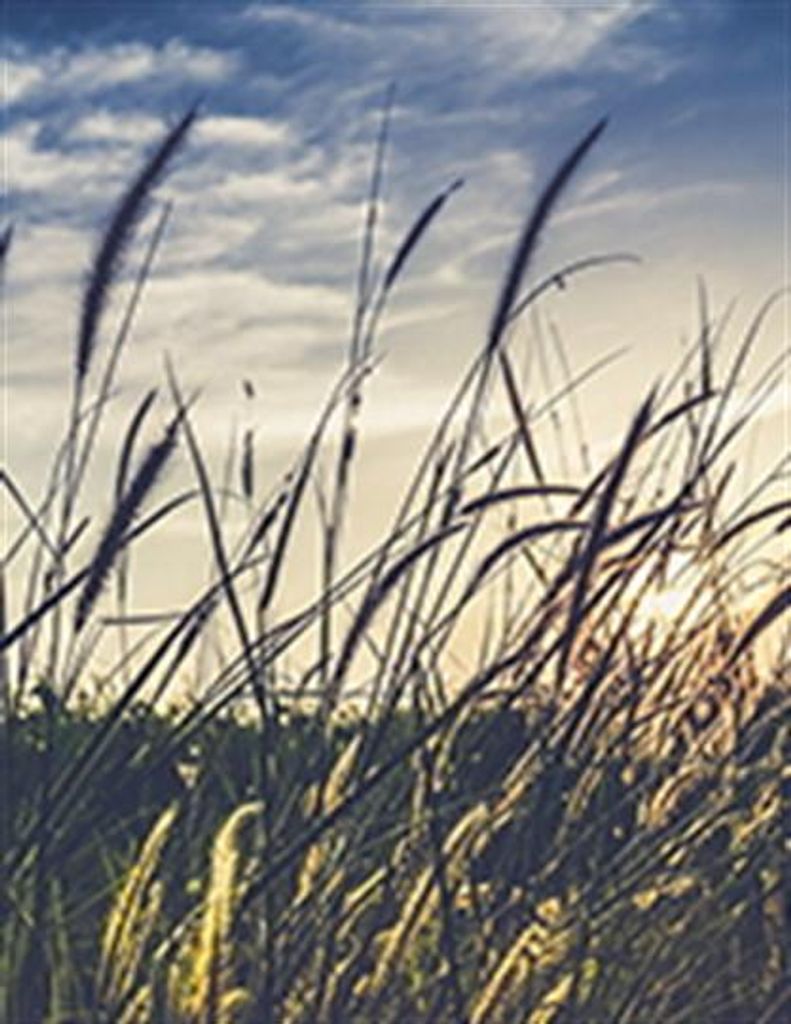 Sabin Luca Profile Photo