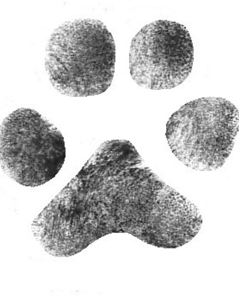 Sandy Sherrill Profile Photo