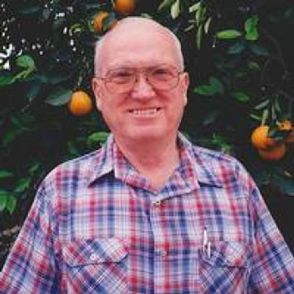 Virgil L Hammons