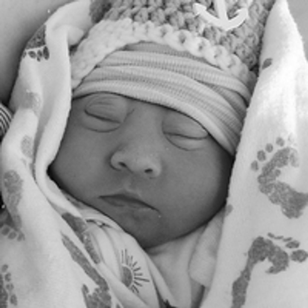 Graycen Johnson